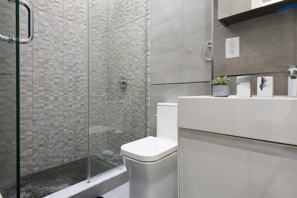 78-4B New Quality 1Br W&D In Unit Skylights Apartment New York